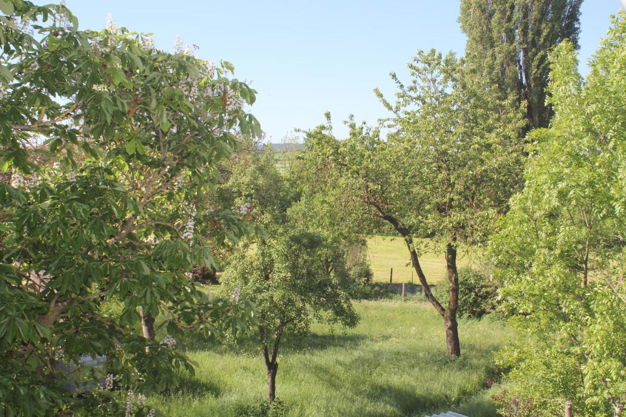 Fewo Am Schlossberg Neusitz  Luaran gambar