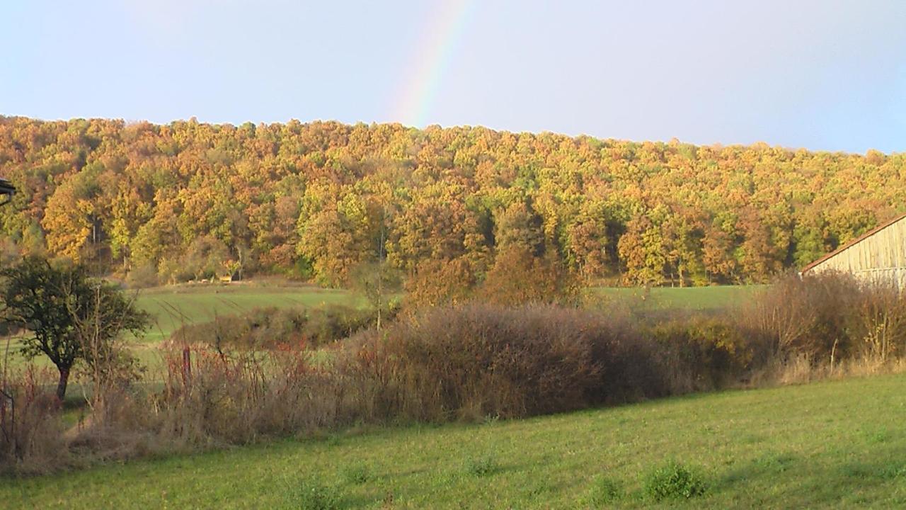 Fewo Am Schlossberg Neusitz  Luaran gambar